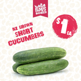 CUCUMBER SHORT EACH (Poto Kukama)