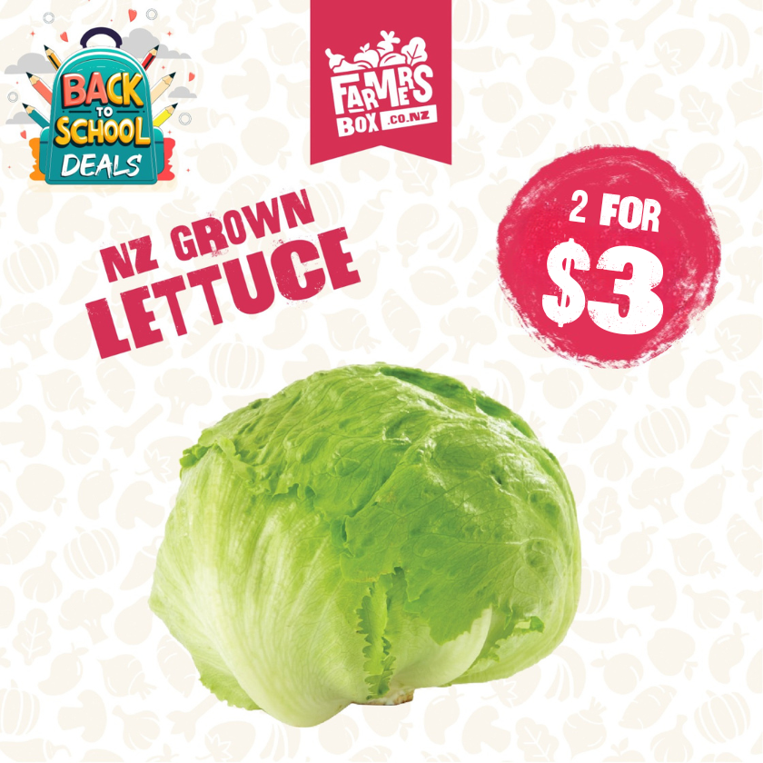LETTUCE ICEBERG FRESH CUT EACH( Rētihi)
