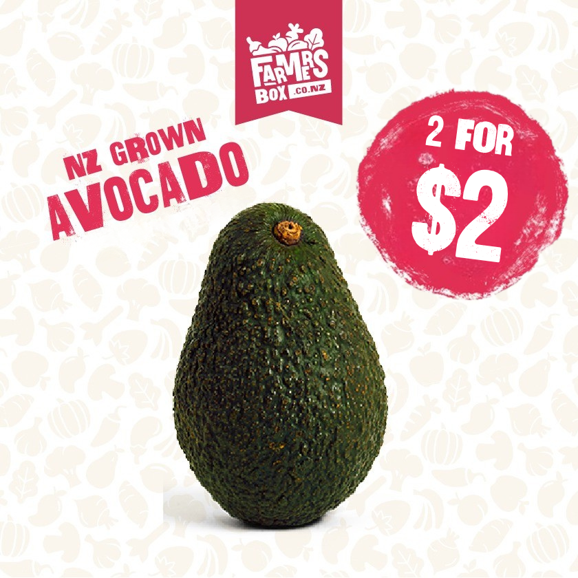 AVOCADO EACH