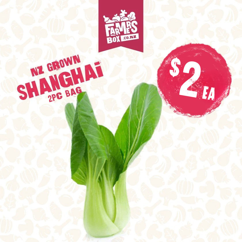 ASIAN SHANGHAI BAG(putea shanghai Ahia)