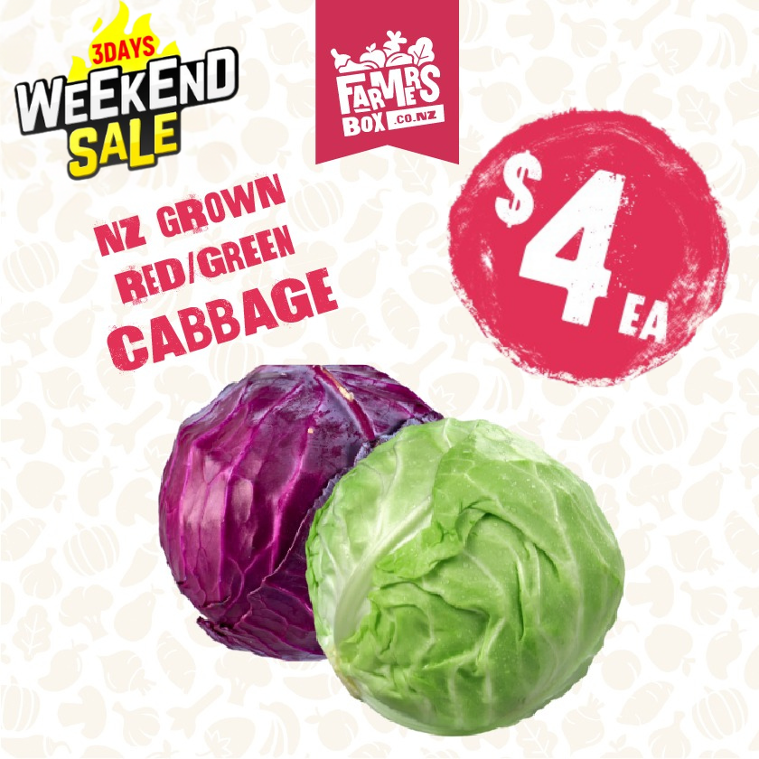 CABBAGE RED EACH (Kāpeti Whero)