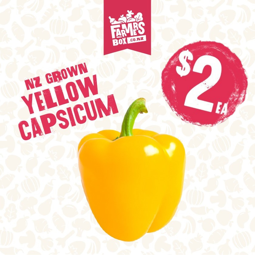 CAPSICUM YELLOW (Kowhai Kaupapa)