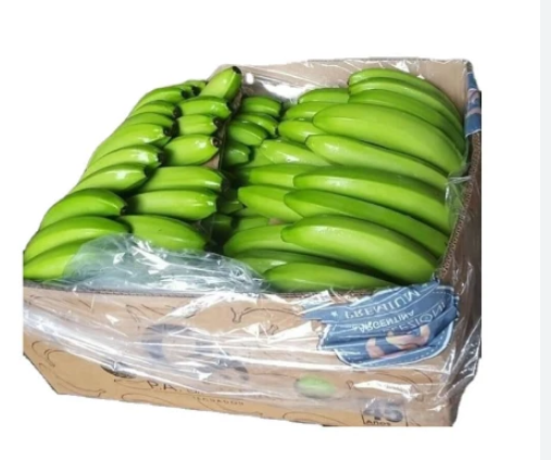 13KG BOX BANANA GREEN