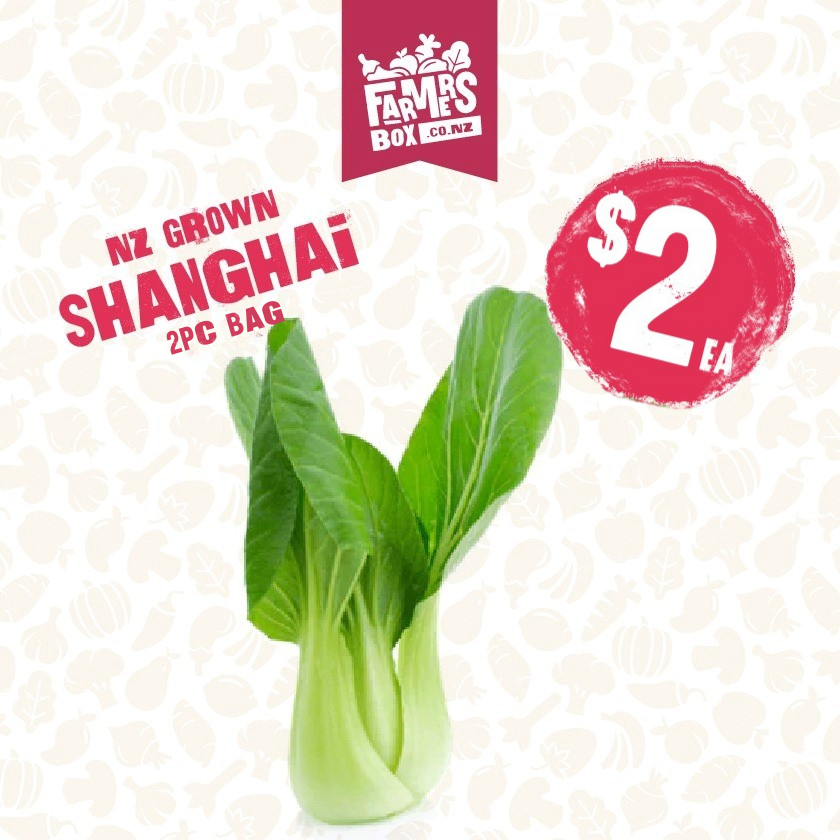 ASIAN SHANGHAI BAG(putea shanghai Ahia)