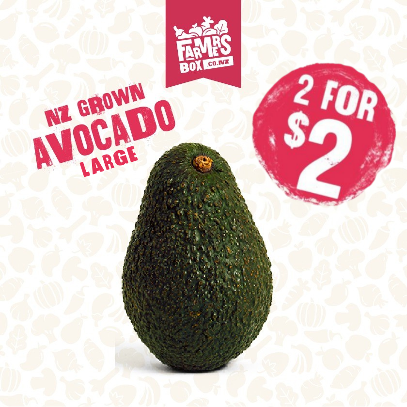 AVOCADO LARGE EACH