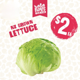 LETTUCE ICEBERG FRESH CUT EACH( Rētihi)