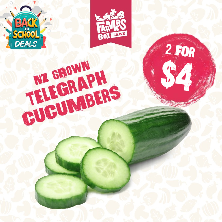 CUCUMBER TELEGRAPH EACH (Kukama Waea) - Small Size