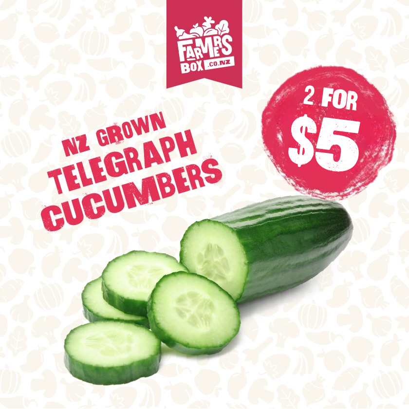 CUCUMBER TELEGRAPH EACH (Kukama Waea) - Small Size