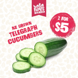 CUCUMBER TELEGRAPH EACH (Kukama Waea) - Small Size