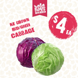 CABBAGE GREEN EACH (Kapeti)