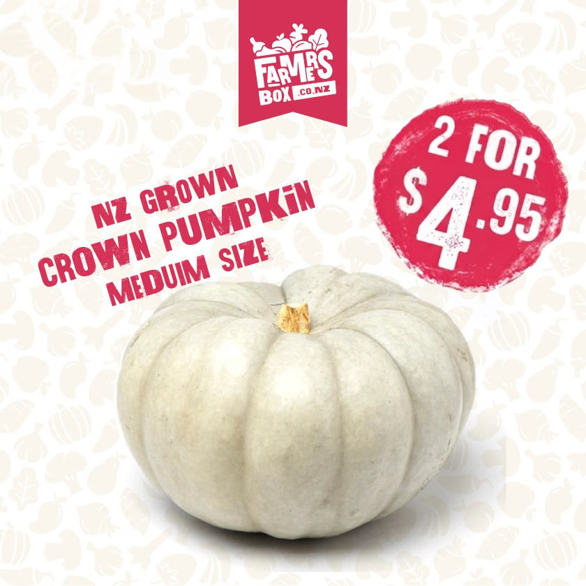 PUMPKIN CROWN MEDIUM (Pūpukeni Karauna)