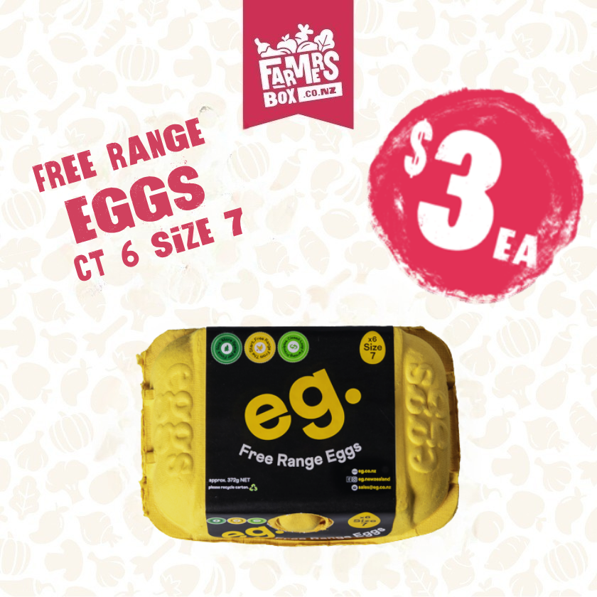 EGGS FREE RANGE 6CT SIZE 7