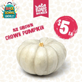 PUMPKIN CROWN MEDIUM ( papuka karauna)