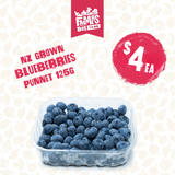 125G BERRIES BLUEBERRIES PP (NZ)  PUNNET (Turutu)