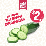 NZ GROWN TELEGRAPH CUCUMBER SMALL TO MEDIUM SIZE