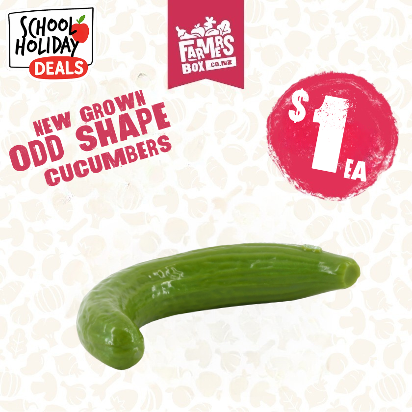 CUCUMBER ODD SHAPE (Kūkama)