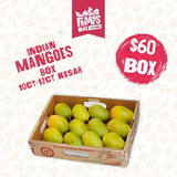MANGOES INDIAN BOX 10CT -12CT KESAR