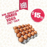 EGGS JUMBO 20CT