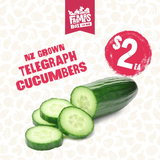 CUCUMBER TELEGRAPH EACH (Kukama Waea) - Small Size