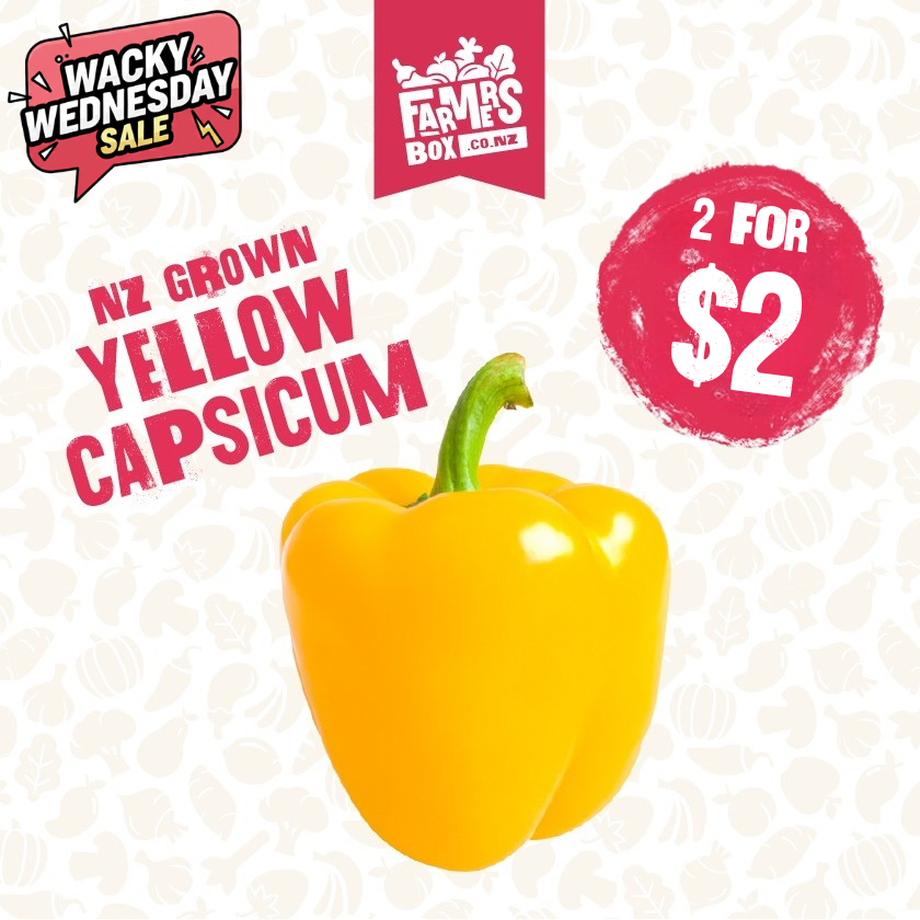 CAPSICUM YELLOW (Kowhai Kaupapa) (Medium Size)