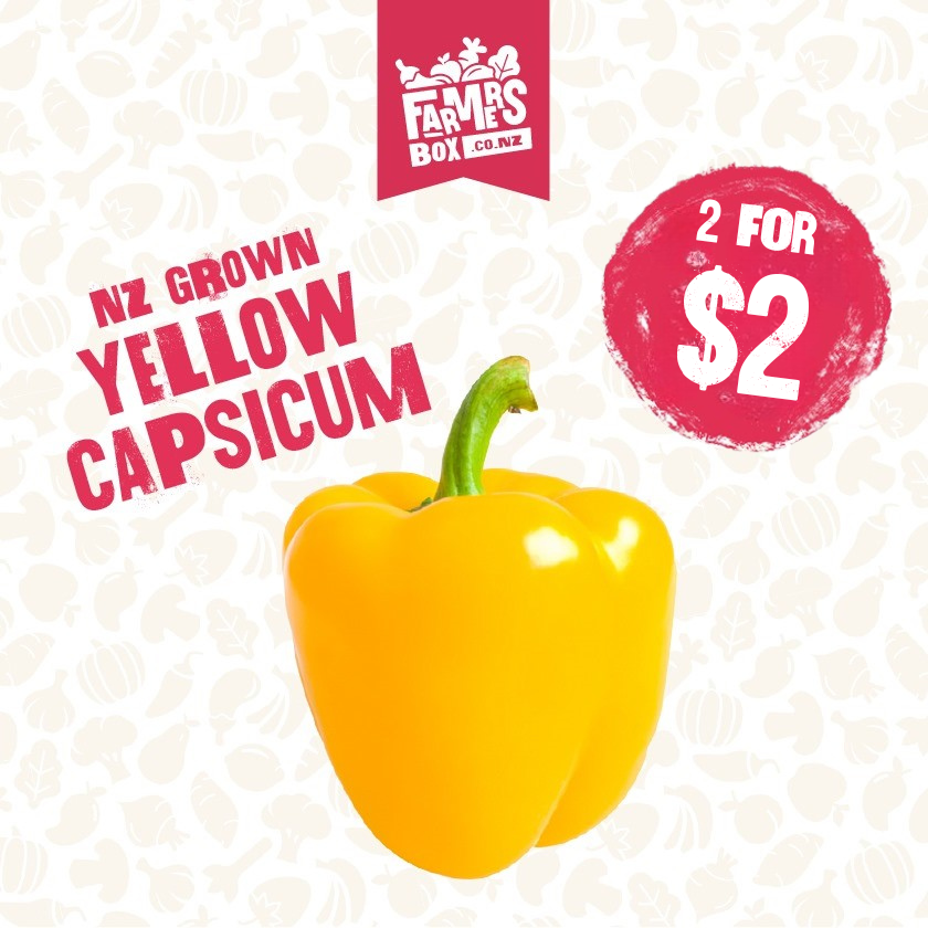 CAPSICUM YELLOW (Kowhai Kaupapa) (Medium Size)