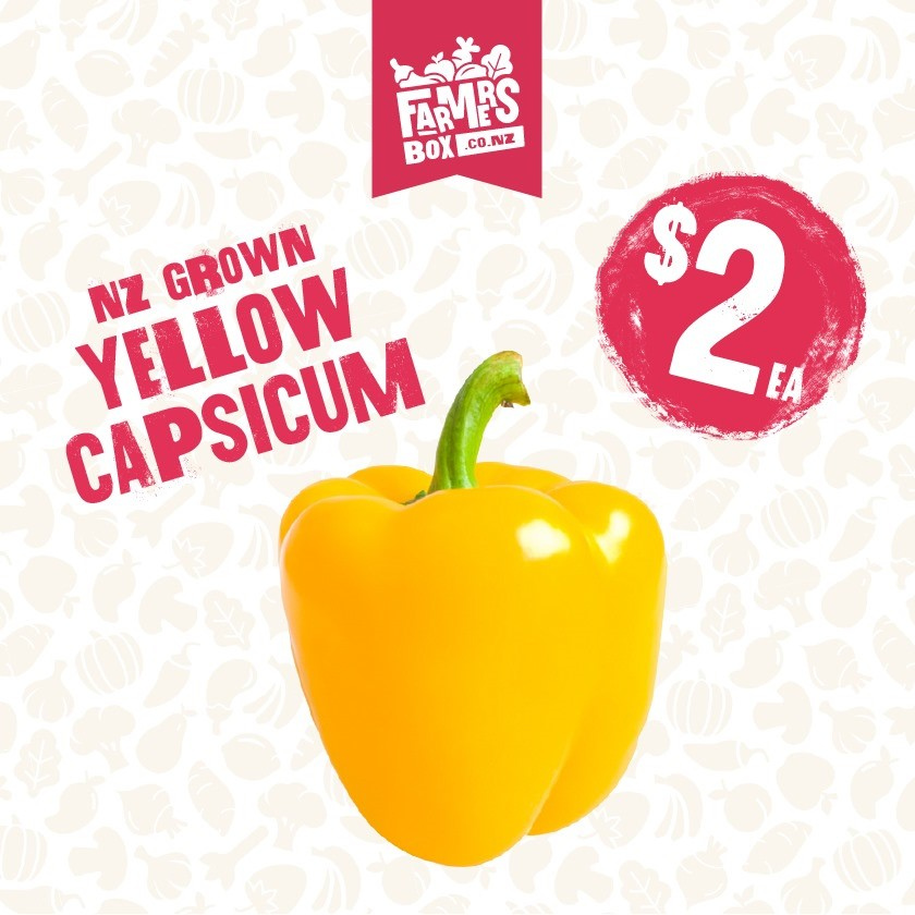 CAPSICUM YELLOW (Kowhai Kaupapa) (Medium Size)