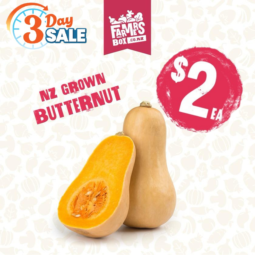 PUMPKIN BUTTERNUT EACH (Paukena Pata)- small size