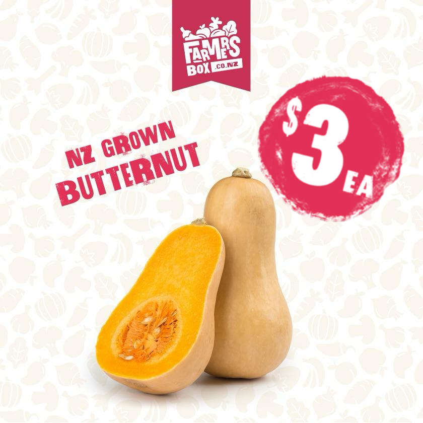 PUMPKIN BUTTERNUT EACH (Paukena Pata)- small size