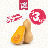 PUMPKIN BUTTERNUT EACH (Paukena Pata)- small size