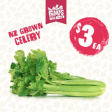 CELERY LOOSE WHOLE