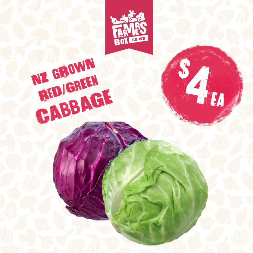 CABBAGE RED EACH (Kāpeti Whero)