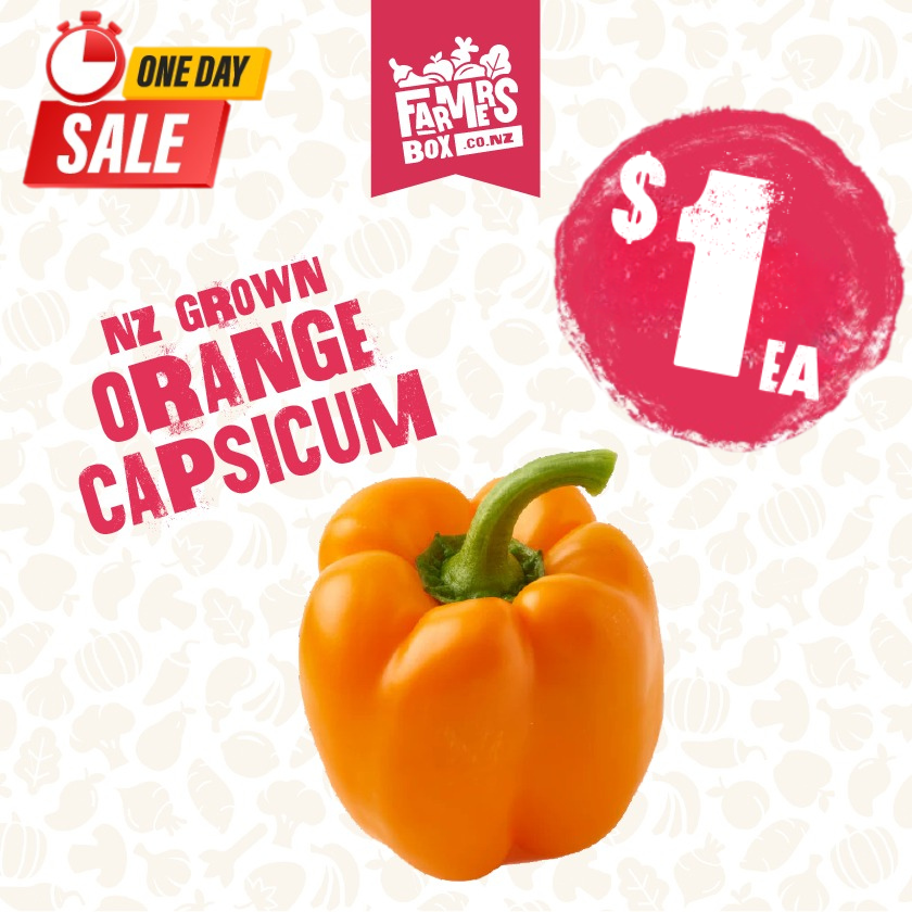 CAPSICUM ORANGE EACH (Karaka Kaupapa)