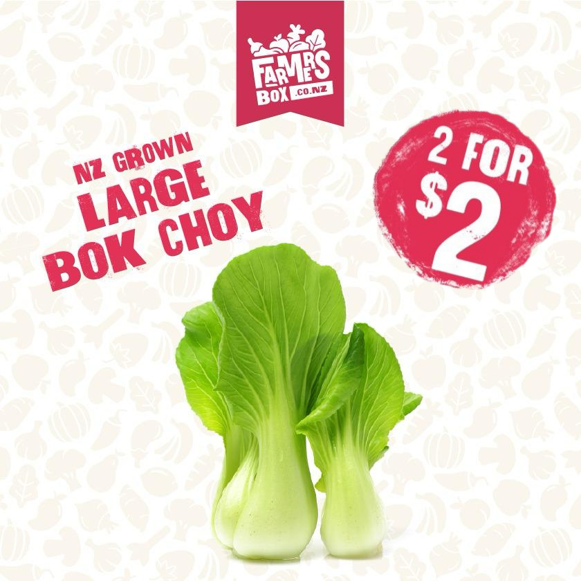ASIAN LARGE BOK CHOY PP(kāpeti bok choy nui Āhia pp)