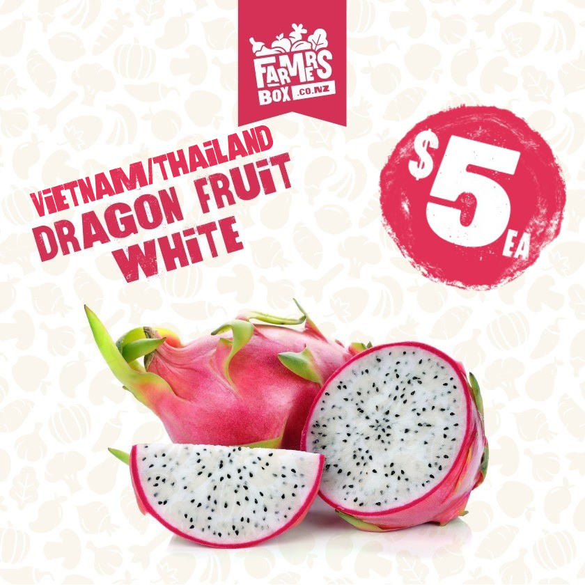 DRAGON FRUIT WHITE EACH (TAKARAKA)