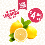 LEMONS BAG 1KG (Rēmana)