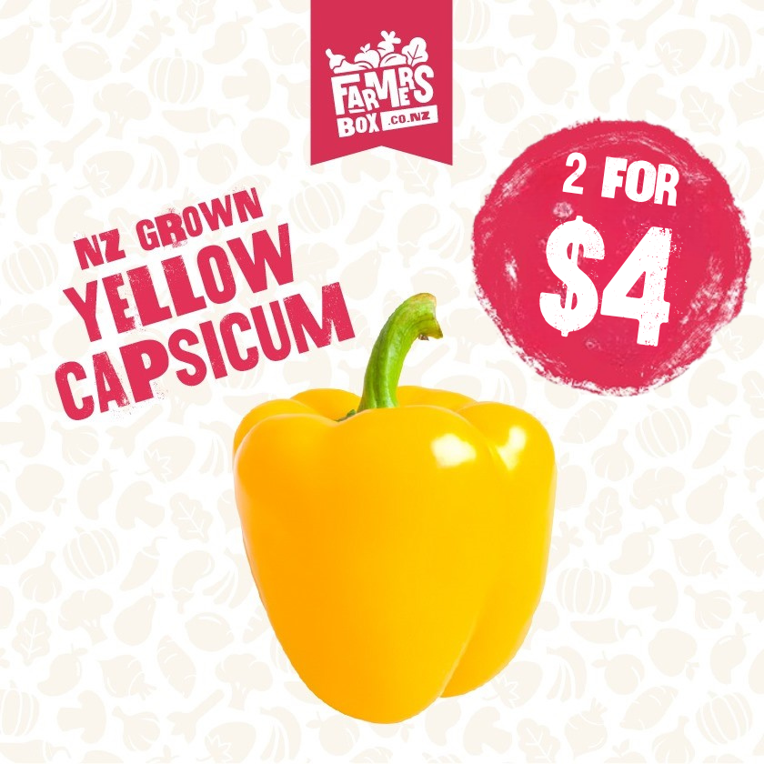 CAPSICUM YELLOW (Kowhai Kaupapa)