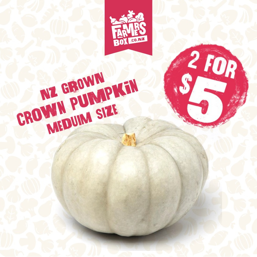 PUMPKIN CROWN MEDIUM (Pūpukeni Karauna)