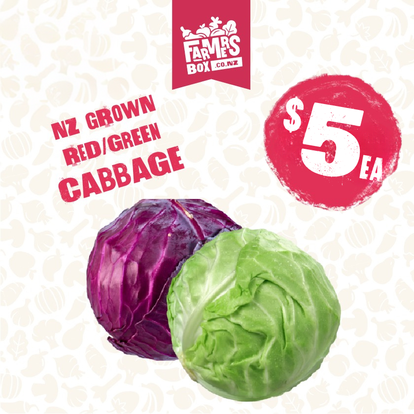 CABBAGE RED EACH (Kāpeti Whero)