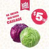 CABBAGE RED EACH (Kāpeti Whero)