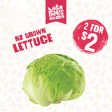 LETTUCE ICEBERG FRESH CUT EACH( Rētihi)