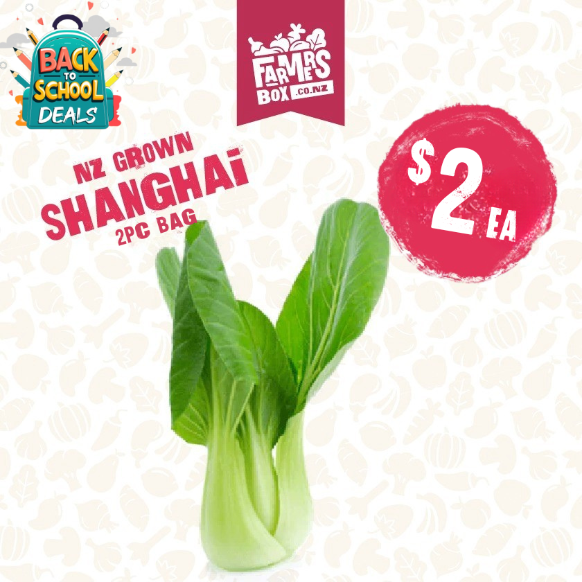ASIAN SHANGHAI BAG(putea shanghai Ahia)