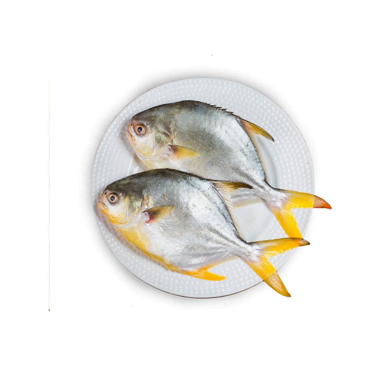 Frozen Golden Pompano Whole 400-600g