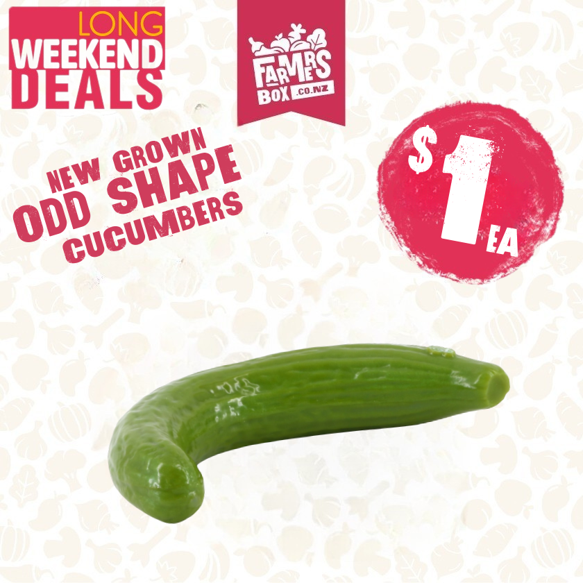 CUCUMBER ODD SHAPE (Kūkama)