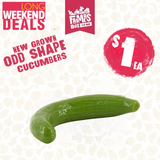 CUCUMBER ODD SHAPE (Kūkama)