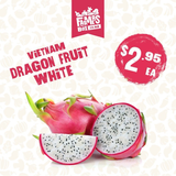 DRAGON FRUIT WHITE EACH (TAKARAKA)