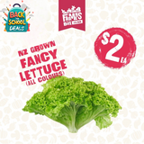 LETTUCE FANCY LOLLO BIONDA BAG(rētihi rehu putea lollo bionda)