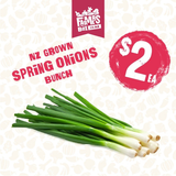 ONIONS SPRING BUNCH ( Aniana Puna)