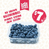 125G BERRIES BLUEBERRIES PP (NZ)  PUNNET (Turutu)