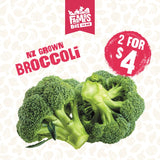 BROCCOLI EACH (Puanani)