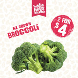 BROCCOLI EACH (Puanani)